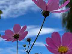 -丽江泸沽湖景区