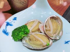 金汁鲍鱼-黑松白鹿(崇文门新活馆店)