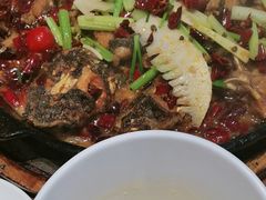 -老板恋上鱼(恒隆广场店)