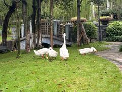 -宁波九龙湖开元度假村