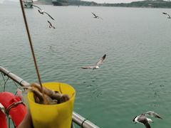 -海驴岛(荣成市)