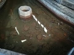 -老家聚(阳谷店)
