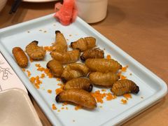 -了能菜·传统特色粤菜·虫宴