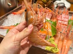 -月龍吟(朝龙汇店)