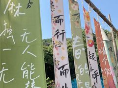 -博山九龙峪风景区
