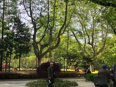 -徐家汇源景区-衡山公园