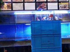 -兄弟龙虾(胜太路总店)