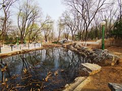 -滨河世纪广场公园