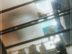 -Husky Go! 哈士奇体验馆·宠物咖啡厅狗咖