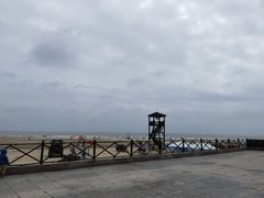 -日照海滨国家森林公园