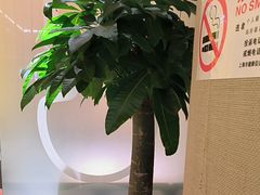 -桂满陇·手作小笼包&江南叫花鸡(中山公园店)
