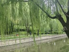 -元大都城垣遗址公园