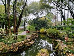 -上海醉白池公园