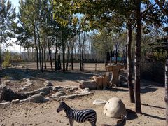 -大连森林动物园