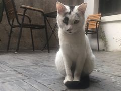-二楼南书房