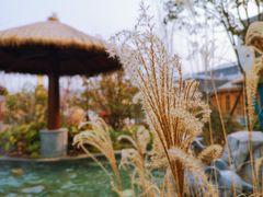 -太白山御龙湾温泉