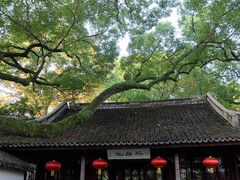 -上海醉白池公园