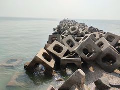 -东疆建设开发纪念公园