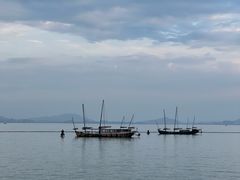 -贡湖湾湿地公园