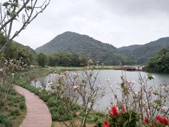 -广州市石门国家森林公园