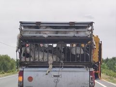 -库伦旗银沙湾旅游景区