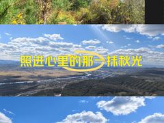 -帽儿山国家森林公园