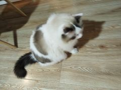 -白兔子密室(长寿路店)