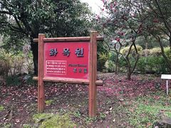 -汉拿树木园