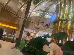 -上海建国宾馆-葵园餐厅