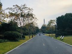 -杭州城北体育公园