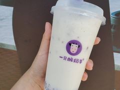 -一只酸奶牛(八一路店)