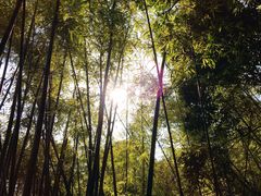 -东部华侨城