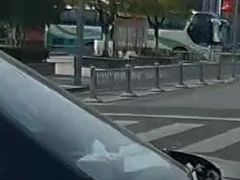 -张醪糟