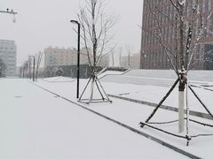 -大连理工大学(凌水校区)