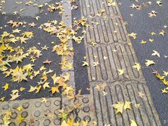 -百香林西点(岐山路店)