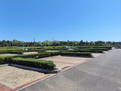 -凤凰岛旅游度假区