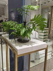 点击看大图 -菲·木田moontin造型salon