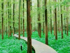 -上海怡沁园度假酒店