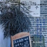 【小日子】我知这世界，本如露水般短暂