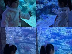 -左海海底世界
