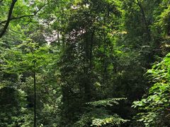-青城山