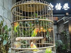 -鱼桥巷·美学川菜