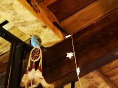 -薄荷小筑融合音乐餐吧(农业路店)