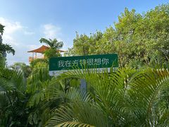 -厦门方特水上乐园
