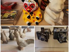 -北京动物园-畅观楼