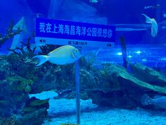 -上海海昌海洋公园