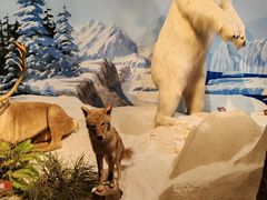 -陕西自然博物馆