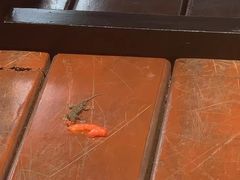 -曼谷湄南河畔华美达广场酒店