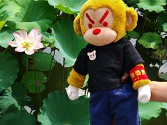 -惠州西湖丰渚园