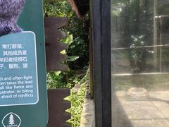 -海南热带野生动植物园